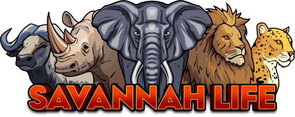 savannah life noyo productions logo 2