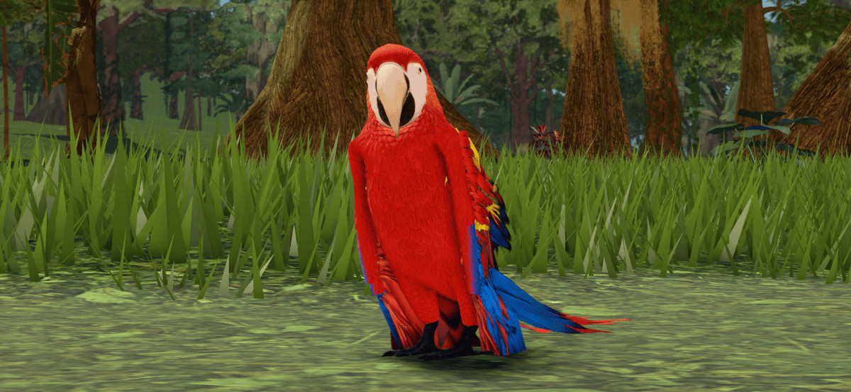 La vida en la selva: el guacamayo de Noyo Productions