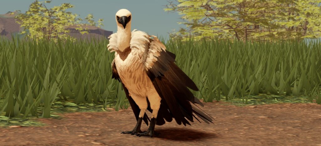 Kehidupan di Savana: Burung Nasar - Noyo Productions