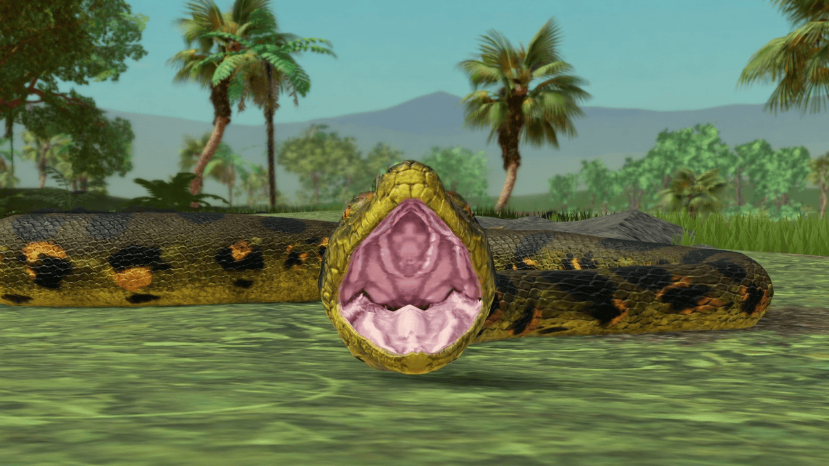 anaconda